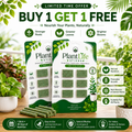 PlantLife Fertilizer Sticks - Buy 1 Get 1 FREE 🌿