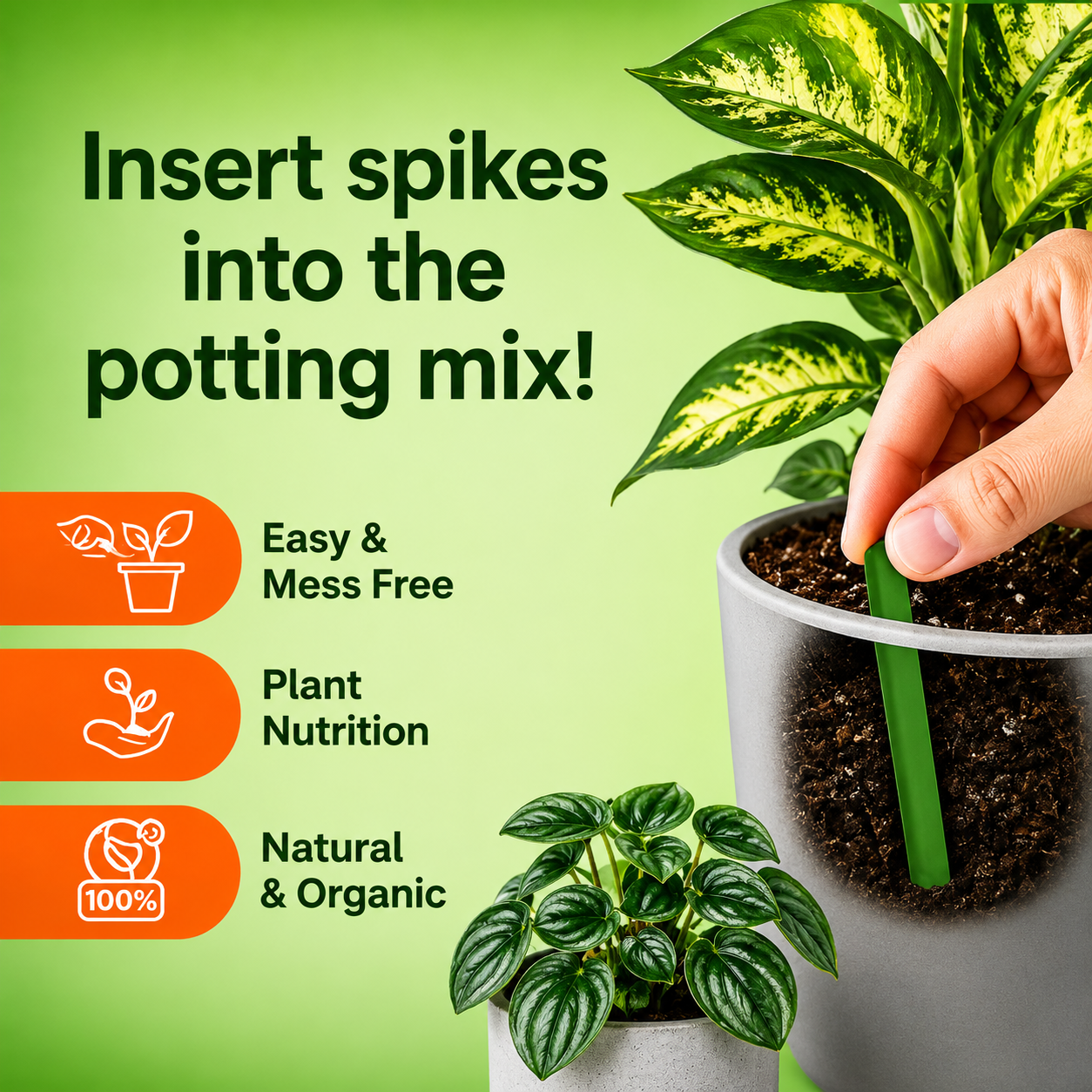 PlantLife Fertilizer Sticks  |  Buy 1 Get 1 FREE 🌿